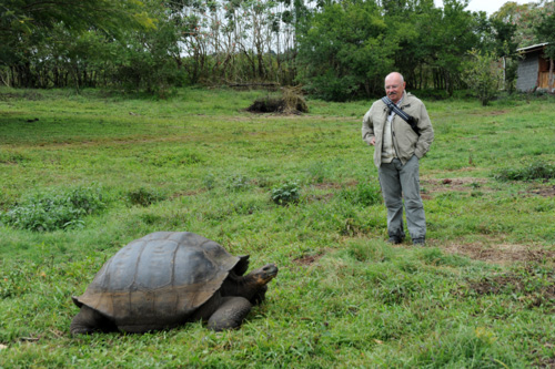 2010, als ich auf Galapagos ziemlich großen Schildkröten begegnete.